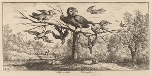 Monedula, a coruja de Albert Flamen
