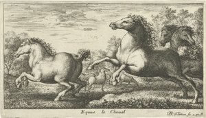 Cavalos Equus le Cheval (título no objeto) Diferentes espécies animais (título da série) de Albert Flamen