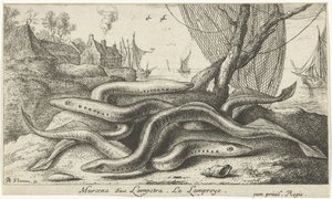 Lampreias de rio numa margem
Muraena siue Lampetra. La Lamproye. (título sobre o objecto)
Peixes e outros animais marinhos - segunda série de água doce (título da série)
Seconde partie de Poissons d