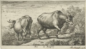 Touros
Bos le Boeuf (título sobre o objecto)
Várias espécies animais (título da série) de Albert Flamen