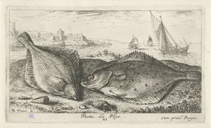 Dois peixes chatos na praia psetta. La Plye. (título no objeto) Peixes e outras criaturas marinhas - segunda série de água salgada (título da série) Poissons de mer (título da série) de Albert Flamen