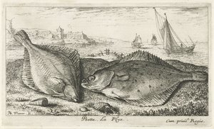 Dois peixes chatos na praia
Psetta. La Plye (título sobre o objecto).
Peixes e outros animais marinhos - água salgada segunda série (título da série)
Poissons de mer (título da série) de Albert Flamen