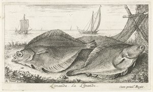 Dois dabs na praia
Limanda. La Limande. (título sobre o objecto)
Peixes e outros animais marinhos - terceira série de água salgada (título da série)
Poissons de mer (título da série) de Albert Flamen
