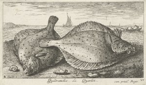 Duas solhas na praia
Quadratulus. Le Quarlet. (título sobre o objecto)
Peixes e outros animais marinhos - terceira série de água salgada (título da série)
Poissons de mer (título da série) de Albert Flamen