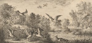 Vanellus, Vanneau O Abibe: Livre d