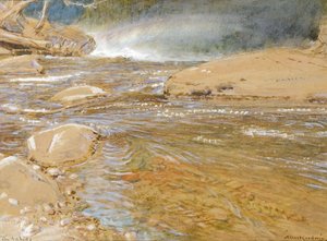 The Rapids - Above the Waterfall (aquarela e cor do corpo no papel) de Albert Goodwin