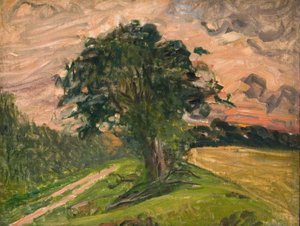 Paisagem da noite. Tisvilde