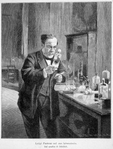 Louis Pasteur em seu laboratório de acordo com a pintura de Edelfelt de Albert Gustaf Aristides (after) Edelfelt