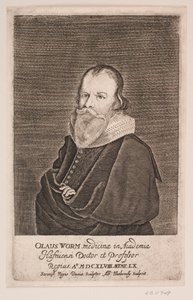 Verme Velho de Albert Haelwegh