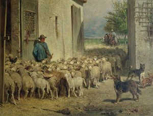 Volte para o redil de 1860