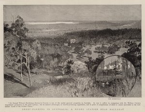 Ovinocultura na Austrália, uma estação modelo perto de Ballarat