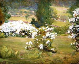 Flores desabrochando, c.1925 (óleo sobre tela)