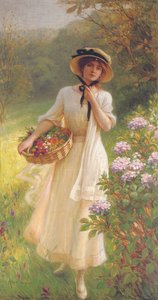 Primavera