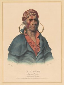 Payta Kootha, uma guerreira Shawnee de Albert Newsam, after Henry Inman, after Charles Bird King