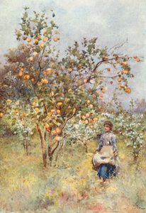 Lemon-Trees: Primavera de Alberto Pisa