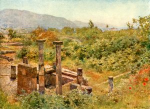 Vista, de, pompeii de Alberto Pisa