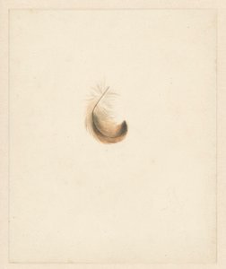 Estudo de uma pena de Albertus Steenbergen