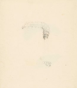 Studieblad com rups, Lasiocampa Quireifolia de Albertus Steenbergen