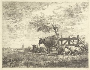Vacas perto de uma cerca e de um salgueiro de sondagem