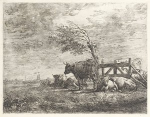 Vacas por uma cerca e um salgueiro do pollard