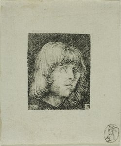 Cabeça de um jovem de Albrecht Altdorfer
