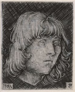 Cabeça de um jovem de Albrecht Altdorfer