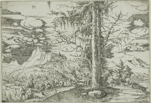 Paisagem com um abeto duplo de Albrecht Altdorfer