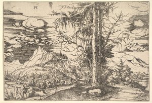 Paisagem com abeto vermelho duplo, ca. 1521-22. de Albrecht Altdorfer