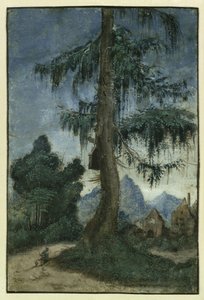 Paisagem com abeto, cerca de 1522. de Albrecht Altdorfer