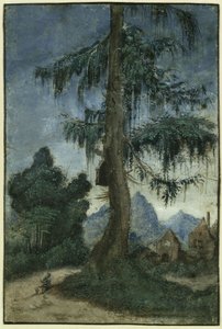 Paisagem com abetos de Albrecht Altdorfer