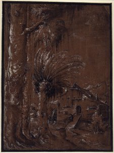 Paisagem com moinho de água de Albrecht Altdorfer