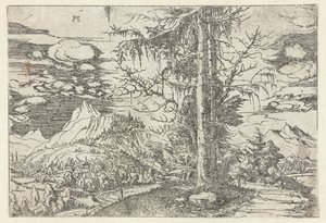 Paisagem com abeto duplo de Albrecht Altdorfer