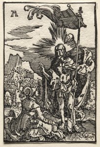 A Queda e Redenção do Homem: Cristo Aparecendo a Santa Maria Madalena de Albrecht Altdorfer