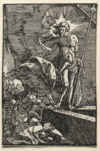 A Queda e Redenção do Homem: A Ressurreição de Albrecht Altdorfer