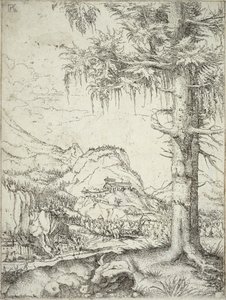 O grande abeto, c.1520 de Albrecht Altdorfer