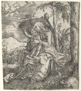 A Virgem em uma paisagem, c. 1515 de Albrecht Altdorfer