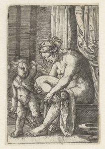 Vénus após o banho de Albrecht Altdorfer