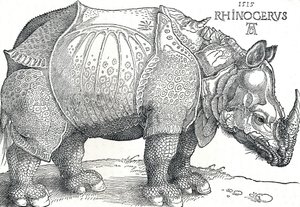 Um rinoceronte, 1515, 1906 de Albrecht Dürer