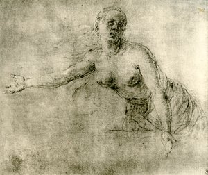 Um estudo, 1913 de Albrecht Dürer