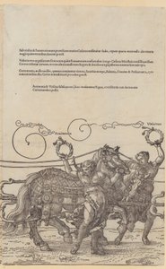  de Albrecht Dürer