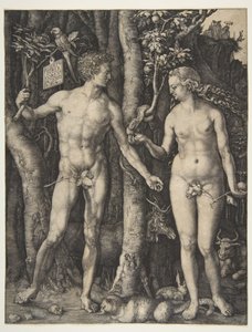  de Albrecht Dürer