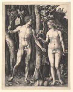  de Albrecht Dürer