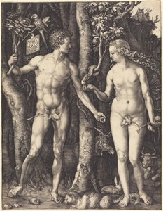  de Albrecht Dürer