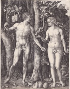  de Albrecht Dürer