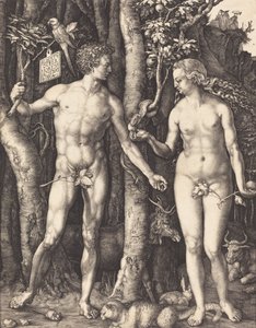 Adão e Eva, 1504. de Albrecht Dürer