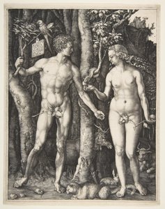 Adão e Eva, 1504 de Albrecht Dürer