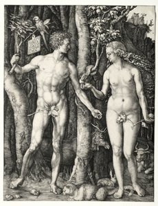 Adão e Eva, 1504. de Albrecht Dürer