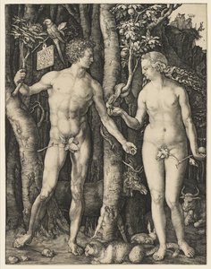 Adão e Eva, 1504 de Albrecht Dürer