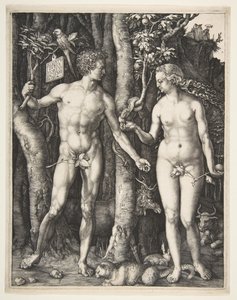 Adão e Eva, 1504. de Albrecht Dürer