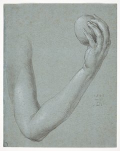 Braço de Eva de Albrecht Dürer